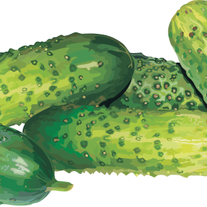 fresh cucumbers PNG