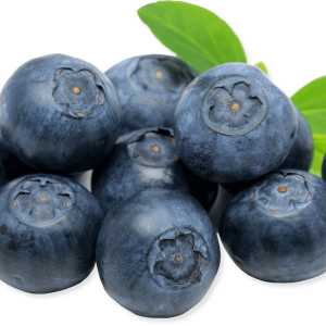 Blueberries PNG