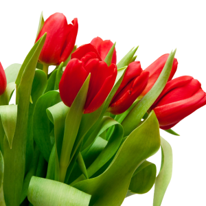 Bouquet flowers PNG