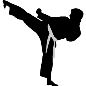 Karate PNG