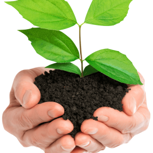 Soil in hands PNG