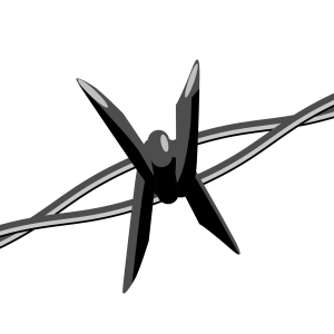 Barbwire PNG