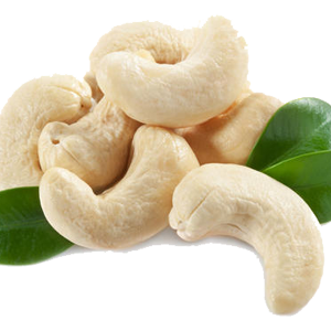 Cashew nut PNG