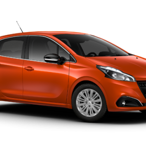 Peugeot PNG