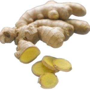 Ginger PNG