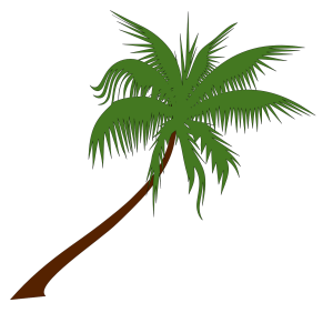 Palm tree PNG