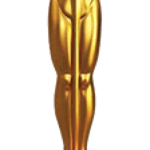 Academy Awards PNG, the Oscars PNG