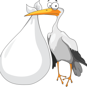stork baby PNG