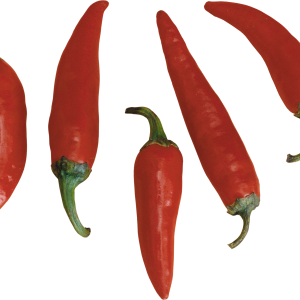 Chili pepper PNG