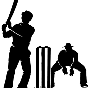 Cricket PNG