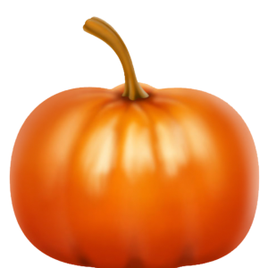 Pumpkin PNG image