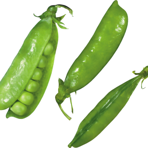 Pea PNG