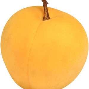 Large apricot PNG