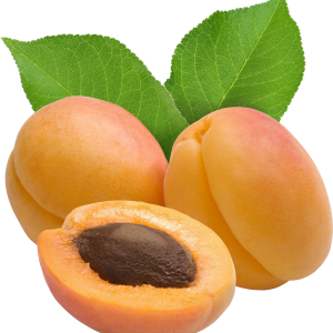Apricots transparent PNG