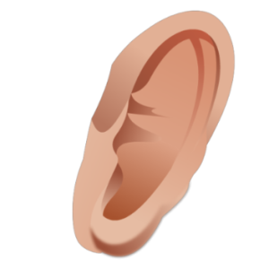 Ear PNG image