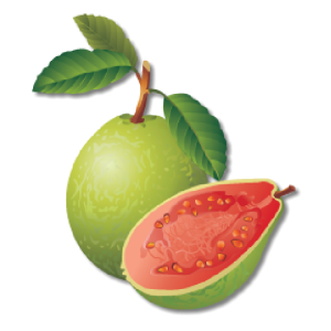 Guava PNG