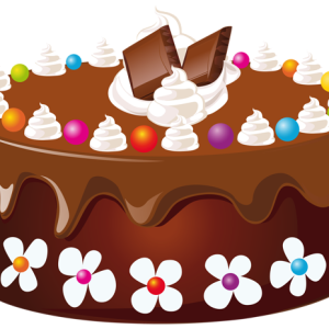 Chocolate cake PNG