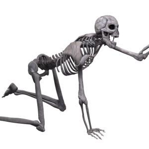 Skeleton PNG