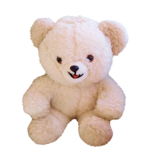 Teddy bear PNG
