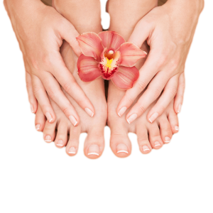 Nails PNG