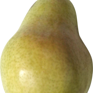 Pear PNG image