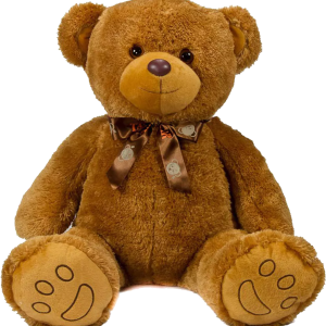 Teddy bear PNG