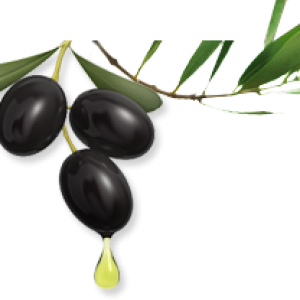 Olive PNG