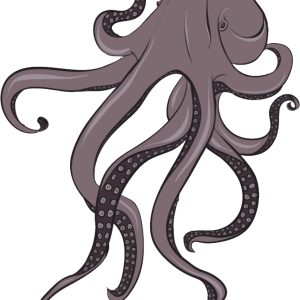 Octopus PNG