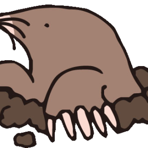 Mole PNG