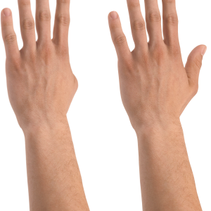 hand PNG