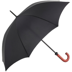 Umbrella PNG image