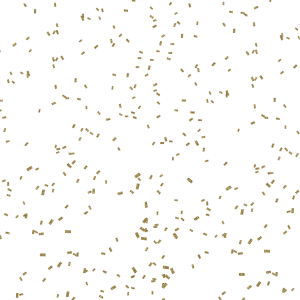 Confetti PNG