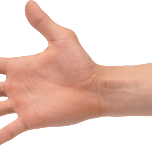 Hands PNG, hand image free