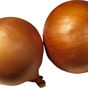 Onion PNG