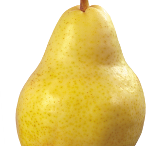Yellow pear PNG image