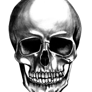 Skull PNG