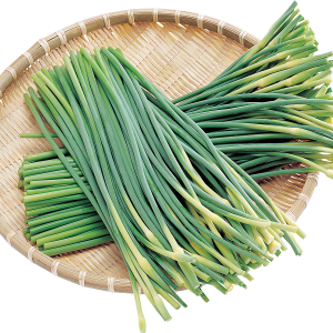 Leek PNG