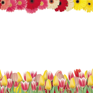 Floral frame PNG