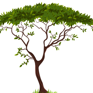 tree PNG