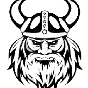 Viking PNG