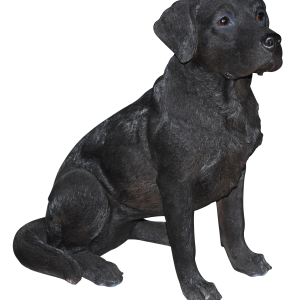 Labrador Retriever PNG