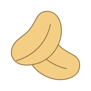 Peanut PNG