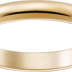 Ring PNG