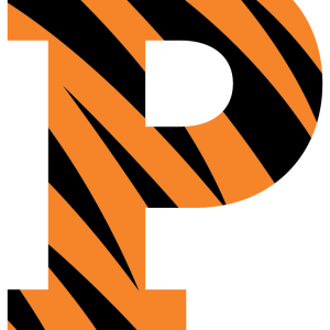 Letter P PNG