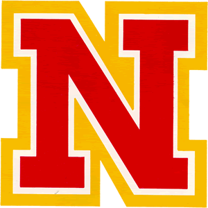 Letter N PNG