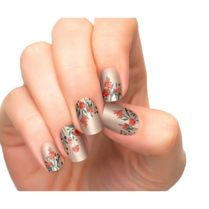 Nails manicure PNG
