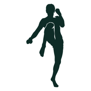 Kickboxing PNG