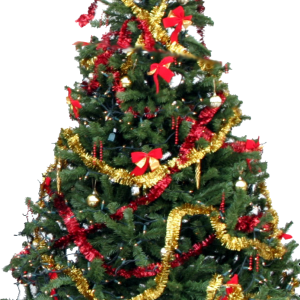 Christmas tree PNG