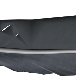 Feather PNG