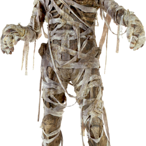 Mummy PNG